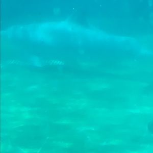 Meet your Posher, Celia